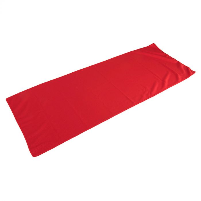 Спортивное полотенце в пластиковом боксе с карабином ACTIVE, красный