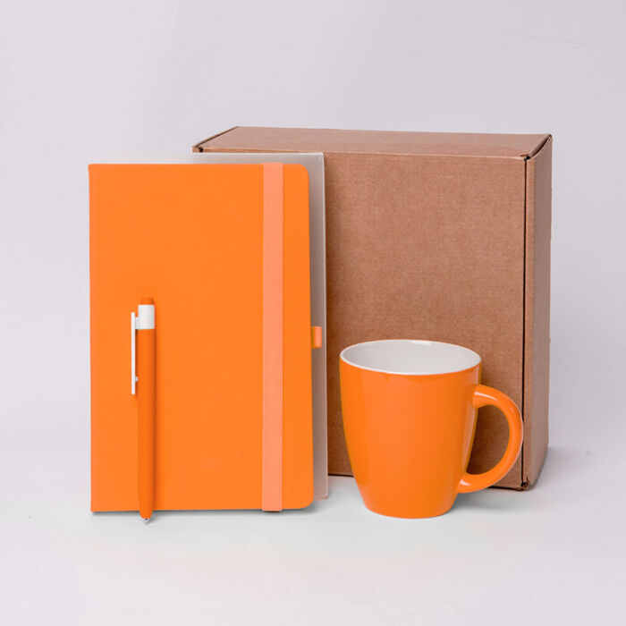 Подарочный набор JOY: блокнот, оранжевый
