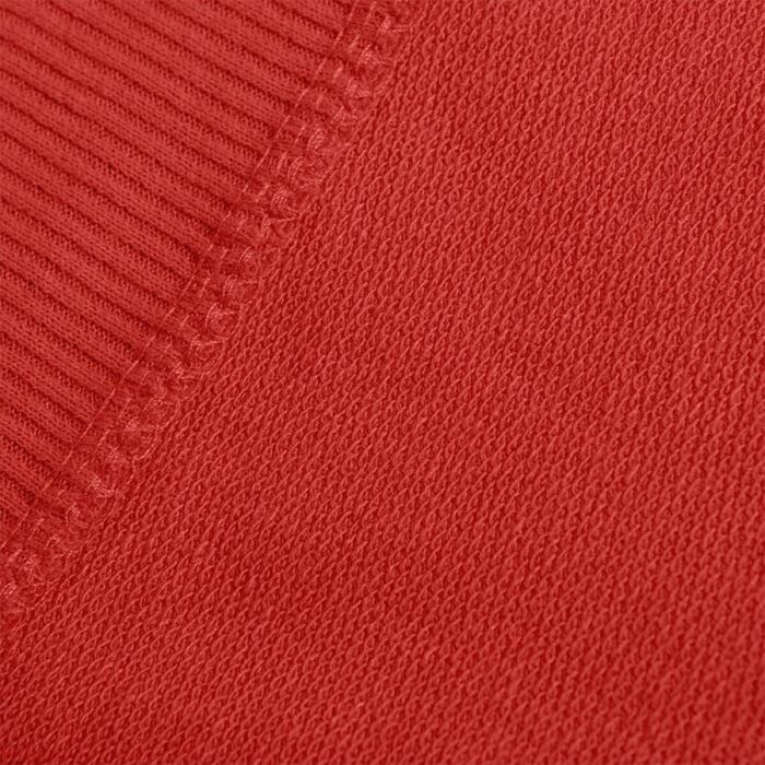 Толстовка унисекс с капюшоном SELEN 260, красный