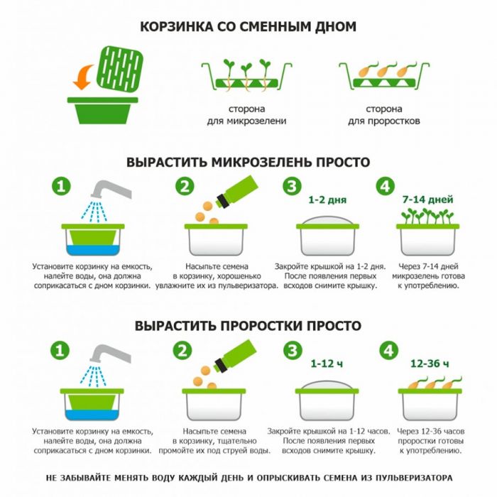 Подарочный набор для проращивания микрозелени: проращиватель, зеленый