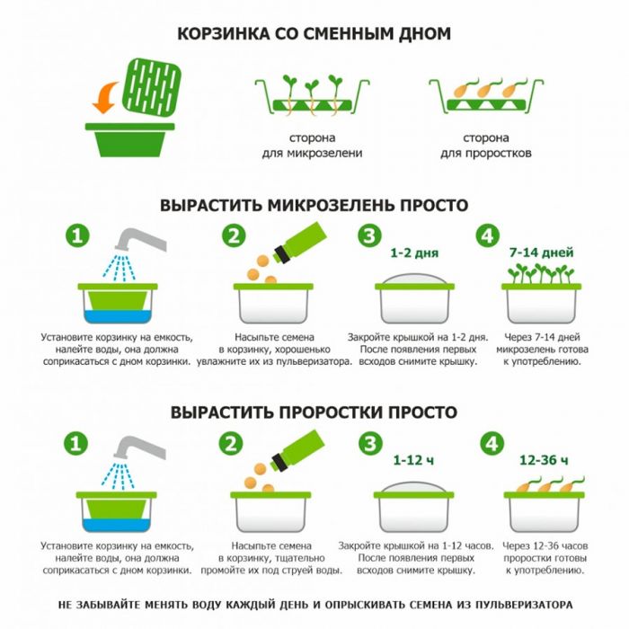 Подарочный набор для проращивания микрозелени, зеленый, красный