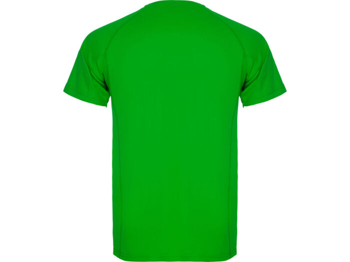 Спортивная футболка Montecarlo мужская, папоротниковый