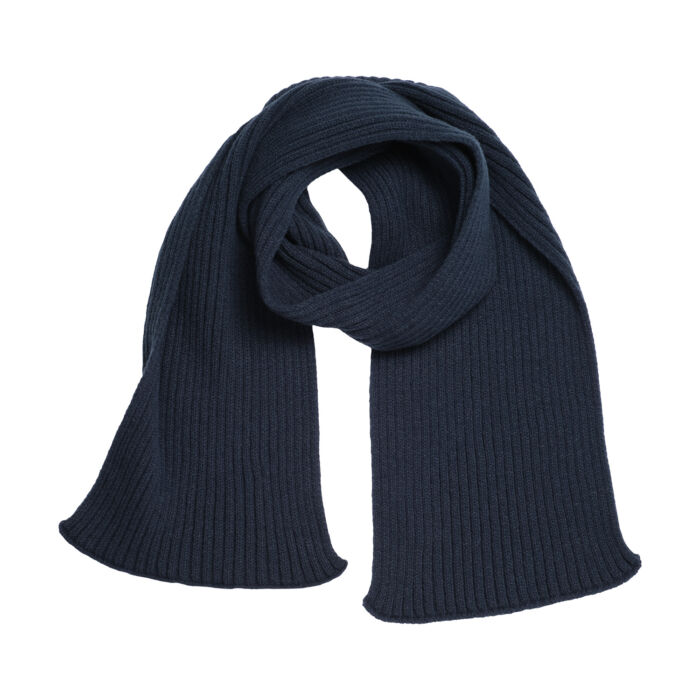 Подарочный набор Forges, синий (шарф, термокружка)