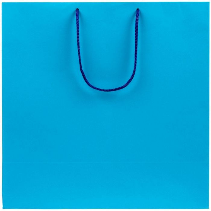 Пакет бумажный Porta L, голубой