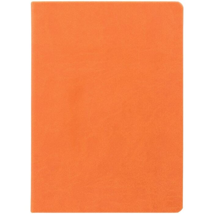 Ежедневник Basis, датированный, оранжевый