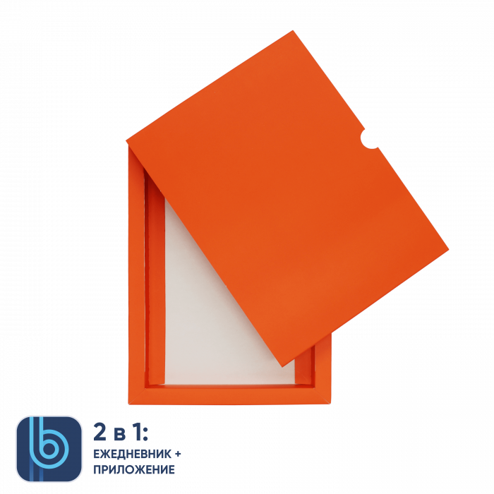 Коробка под ежедневник Bplanner (оранжевый)