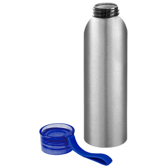 Бутылка для воды VIKING SILVER 650мл. Серебристая с синей крышкой