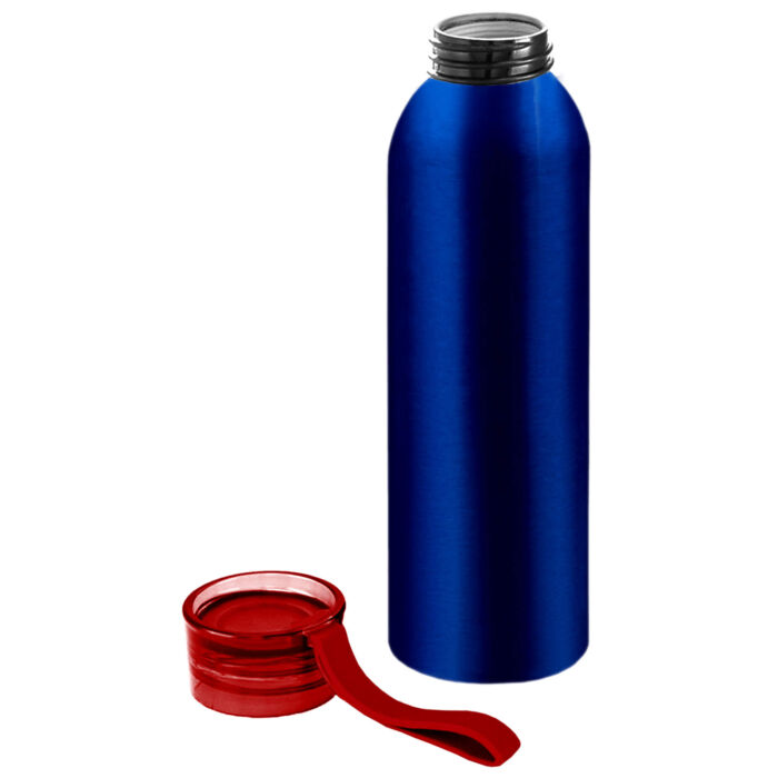 Бутылка для воды VIKING BLUE 650мл. Синяя с красной крышкой